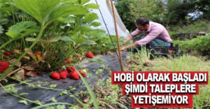 HOBİ OLARAK BAŞLADI, ŞİMDİ TALEPLERE YETİŞEMİYOR