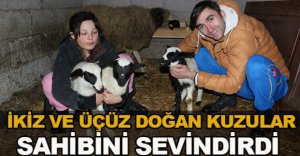 İKİZ VE ÜÇÜZ DOĞAN KUZULAR SAHİBİNİ SEVİNDİRDİ