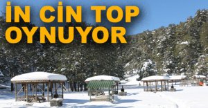 ABANT'TA İN CİN TOP OYNUYOR...