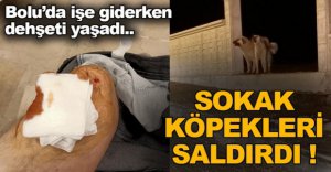 İŞE GİDERKEN DEHŞETİ YAŞADI