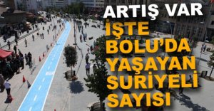 İŞTE BOLU'DA YAŞAYAN SURİYELİ SAYISI