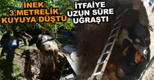 KURTARMAK İÇİN UZUN SÜRE UĞRAŞTILAR