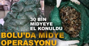 JANDAMADAN MİDYE OPERASYONU...