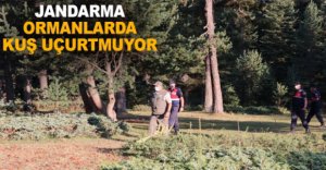 JANDARMA ORMANLARDA KUŞ UÇURTMUYOR
