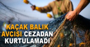 KAÇAK BALIK AVCISI CEZADAN KURTULAMADI