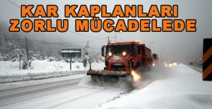 KAR KAPLANLARI ZORLU MÜCADELEDE