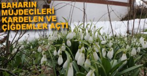 KARDELEN VE ÇİÇEKLER AÇTI