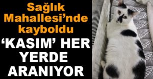 'KASIM' HER YERDE ARANIYOR