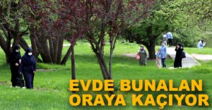 KISITLAMA BİTİNCE DOĞAYA AKIN ETTİLER