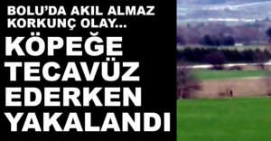 KÖPEĞE CİNSEL SALDIRIDA BULUNDU