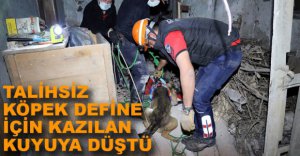 KÖPEK DEFİNECİLERİN KAZDIĞI KUYUYA DÜŞTÜ