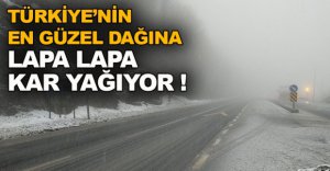LAPA LAPA KAR YAĞIYOR