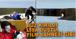 LİSA İÇİN SEFERBER OLDULAR