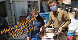 MİNİK KEDİLERE ŞEFKATLİ POLİS ELİ