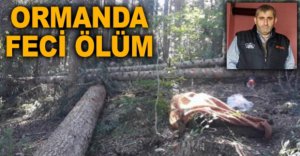 ORMANDA FECİ ÖLÜM