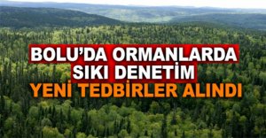 ORMANLARDA SIKI DENETİM