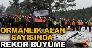 ORMANLIK ALAN SAYISINDA REKOR BÜYÜME