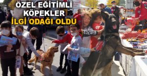 ÖZEL EĞİTİMLİ KÖPEKLER İLGİ ODAĞI OLDU