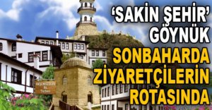 ‘SAKİN ŞEHİR’ GÖYNÜK SONBAHARDA ZİYARETÇİLERİN ROTASINDA
