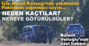 SIĞINMACILARIN HEPSİ YAKALANDI