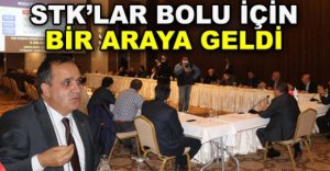 STK’LAR BOLU İÇİN BİR ARAYA GELDİ