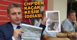 TÜRKOĞLU’NDAN ORMANLARDA KAÇAK KESİM İDDİASI