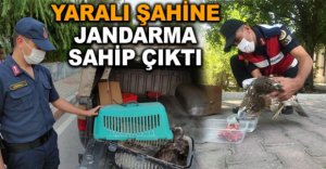YARALI ŞAHİNE SAHİP ÇIKTILAR