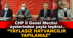 “YAYLAYI SATARAK HİÇBİR DEVLET ZENGİN OLAMAZ”