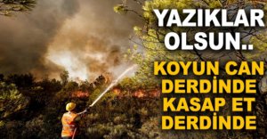 YAZIKLAR OLSUN..