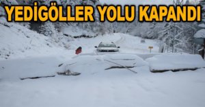 YEDİGÖLLER YOLU KAPANDI