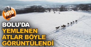 YEMLENEN ATLAR BÖYLE GÖRÜNTÜLENDİ