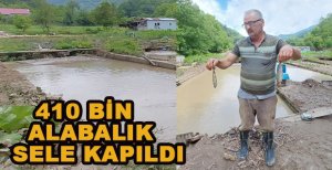 410 BİN ALABALIK SELE KAPILDI