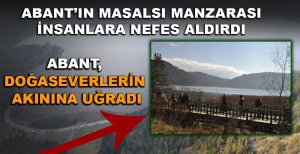 ABANT GÖLÜ MİLLİ PARKI DOĞA SEVERLERİN AKININA UĞRADI