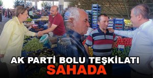 AK PARTİ BOLU TEŞKİLATI SAHADA