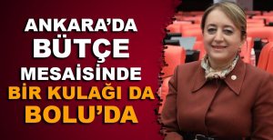 ANKARA’DA BÜTÇE MESAİSİNDE BİR KULAĞI DA BOLU’DA