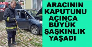 ARACIN KAPUTUNU AÇINCA BÜYÜK ŞAŞKINLIK YAŞADI