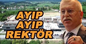 AYIP AYIP REKTÖR