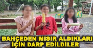 BAHÇEDEN MISIR ALDIKLARI İÇİN DARP EDİLDİLER