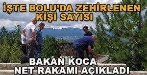 BAKAN KOCA BOLU’DA ZEHİRLENENLERİN NET RAKAMINI AÇIKLADI