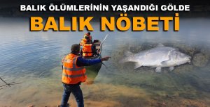BALIK ÖLÜMLERİNİN YAŞANDIĞI GÖLDE BALIK NÖBETİ