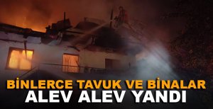 BİNLERCE TAVUK VE BİNALAR ALEV ALEV YANDI