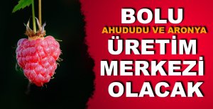 ​BOLU AHUDUDU VE ARONYA ÜRETİM MERKEZİ OLACAK