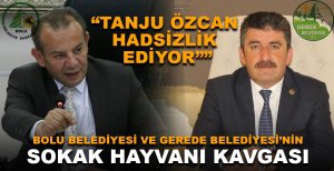 BOLU BELEDİYESİ VE GEREDE BELEDİYESİ’NİN SOKAK HAYVANI KAVGASI
