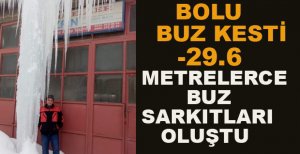 BOLU BUZ KESTİ