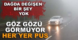 BOLU DAĞI'NDA SİS VE SAĞANAK YAĞIŞ ETKİLİ OLUYOR.