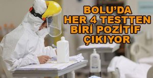 BOLU’DA 4 TESTTEN BİRİ POZİTİF