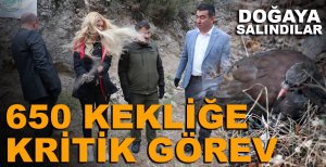 BOLU'DA 650 KEKLİĞE KRİTİK GÖREV