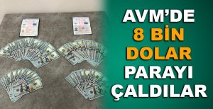 BOLU'DA 8 BİN DOLAR PARAYI ÇALDILAR