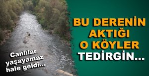 BOLU'DA BU DERENİN AKTIĞI O KÖYLER TEDİRGİN…
