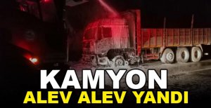 BOLU'DA KAMYON ALEV ALEV YANDI